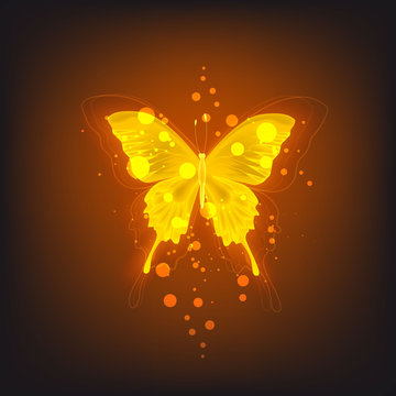 author-avatar