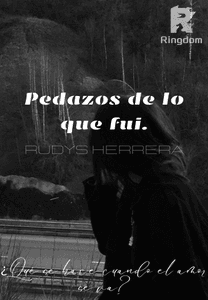 Pedazos de lo que fui