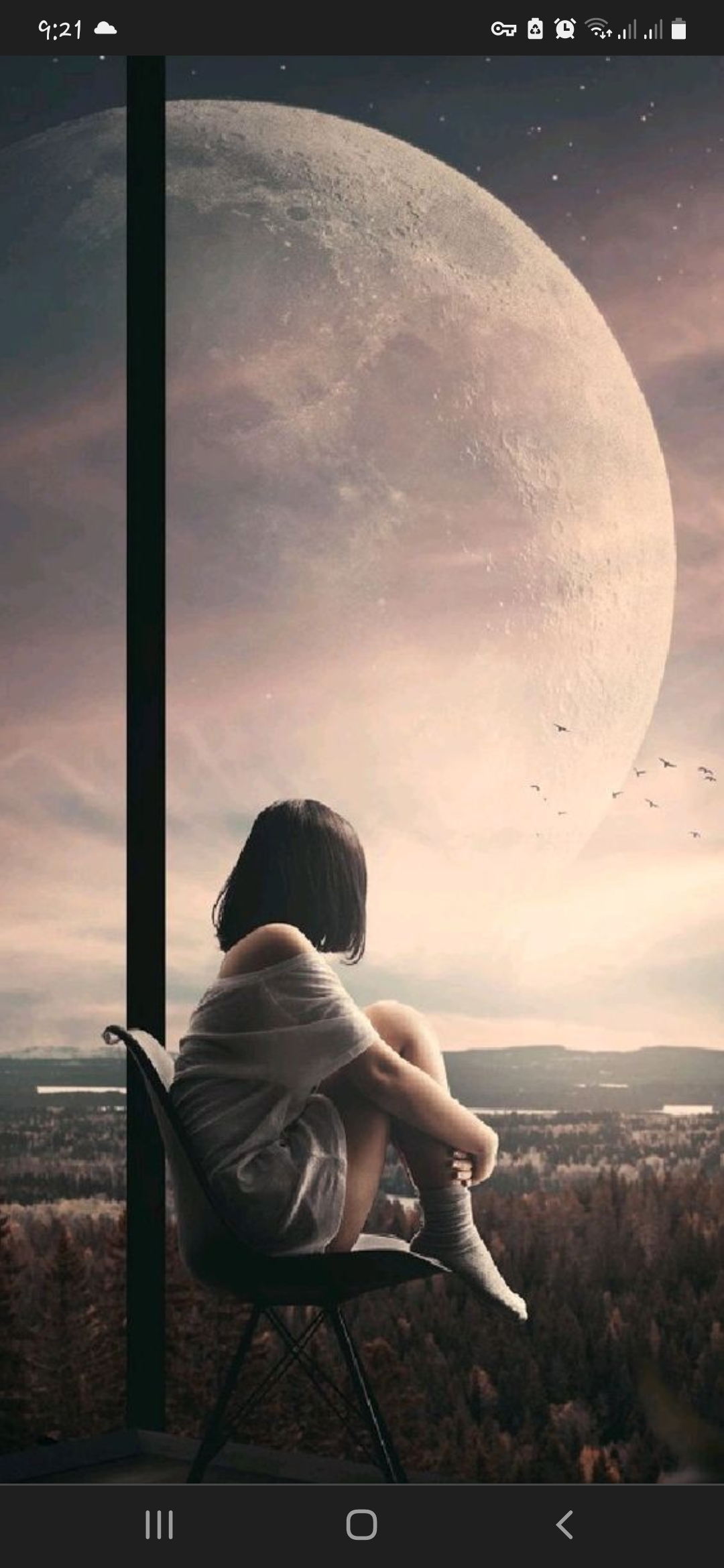 author-avatar