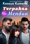 Terpaksa Mendua