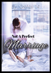 Not A Perfect Marriage