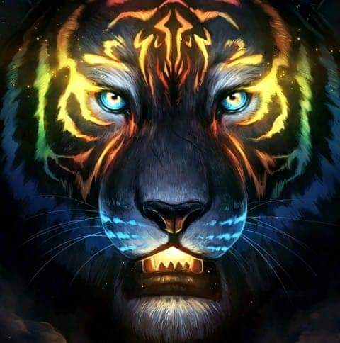 author-avatar