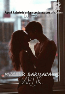 MECBUR BARIŞACAĞIZ ARTIK