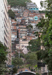 A dama do morro.