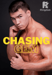 Chasing Gem
