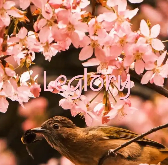 author-avatar