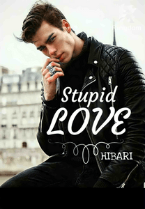 STUPID LOVE