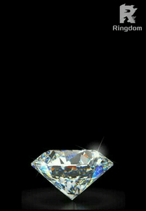 La famille Diamond ( Tom I )