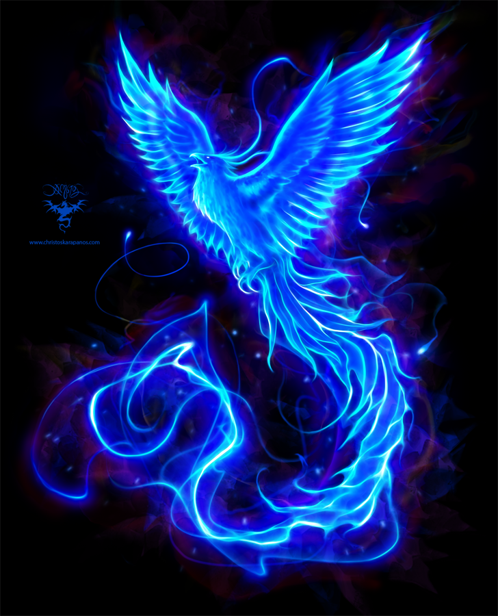 author-avatar