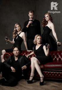 Falling in love with the CEO's Assistant