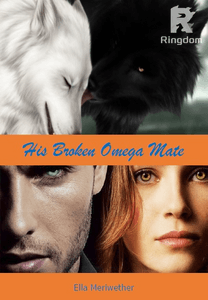 His broken omega mate