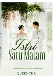 Istri Satu Malam