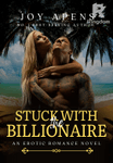 Stuck With The Billionaire
