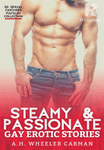 Steamy & Passionate Gay Erotic Stories