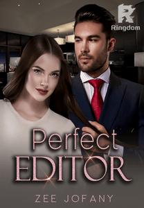 Perfect Editor