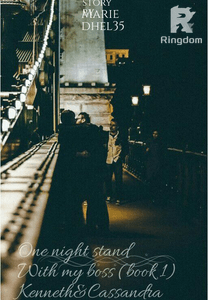 ONE NIGHT STAND WITH MY BOSS ( BOOK1 )