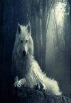 The Lycan Queen 