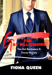 THE GAY BILLIONAIRE (HOT BACHELORS 3: TREVOR GOMEZ)