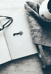 Diary of the Ignorant