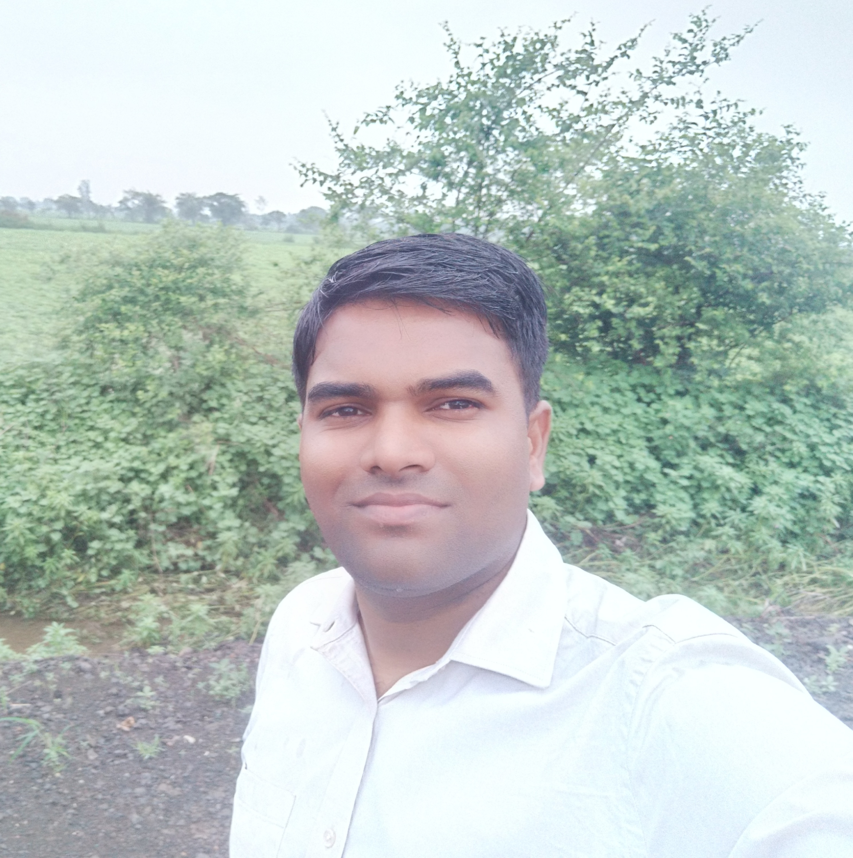 author-avatar