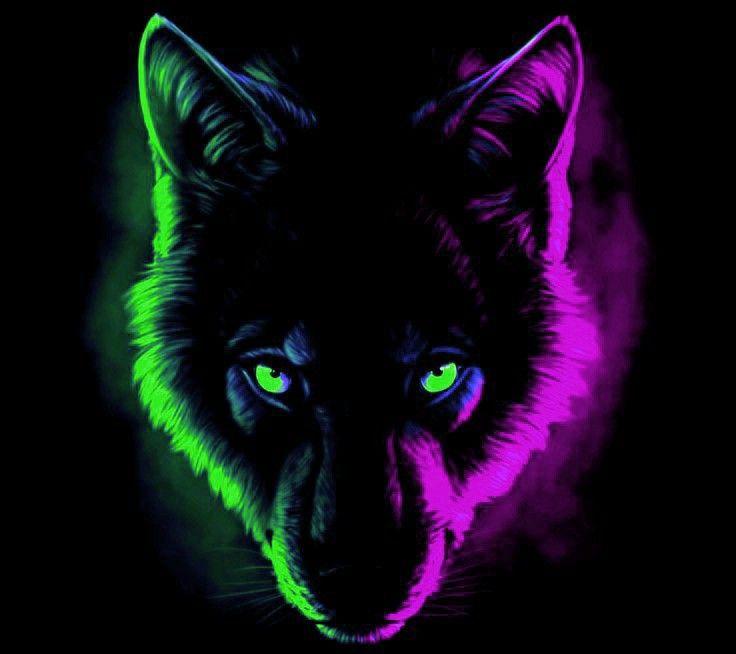 author-avatar