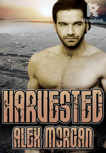 Harvested