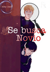 Se Busca Novio