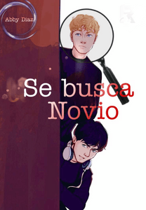 Se Busca Novio