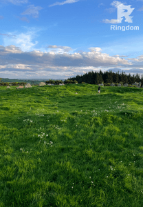 Learning to Love the Spinster