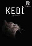 KEDİ - Ücretsiz Kısa Hikaye