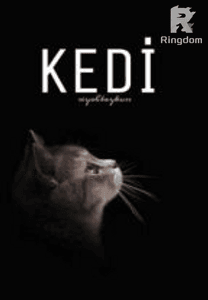 KEDİ - Ücretsiz Kısa Hikaye