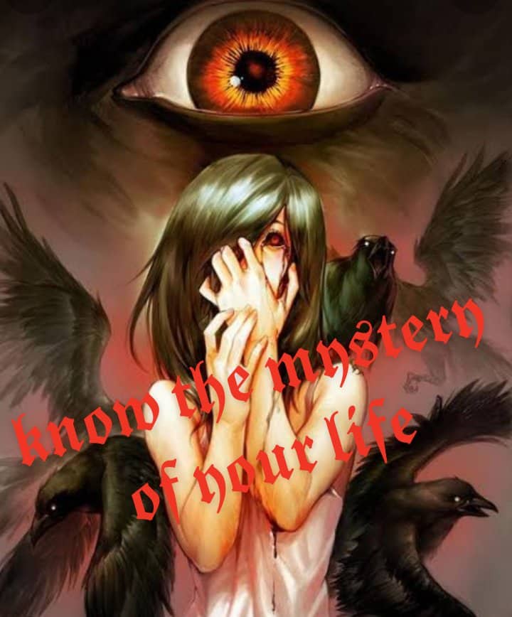 author-avatar