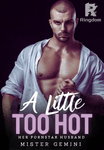 A Little Too Hot (Book 1 of HPH Trilogy R18)