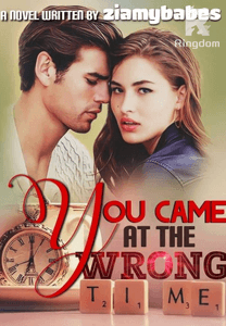 YOU CAME AT WRONG TIME