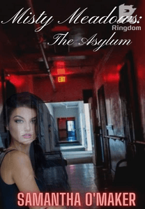 Misty Meadows: The Asylum 