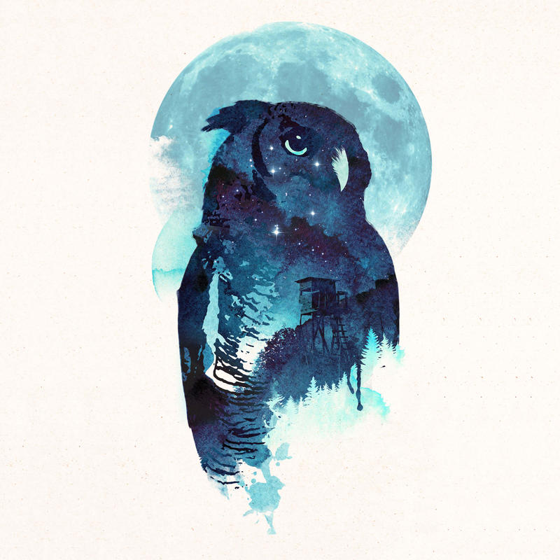 author-avatar