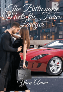 THE BILLIONAIRE MEETS THE FIERCE LAWYER
