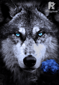 The Alphas and the Unwanted