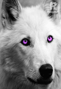 His Rebellious Luna Snow