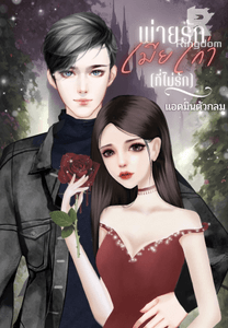 พ่ายรักเมียเก่า(ที่ไม่รัก)