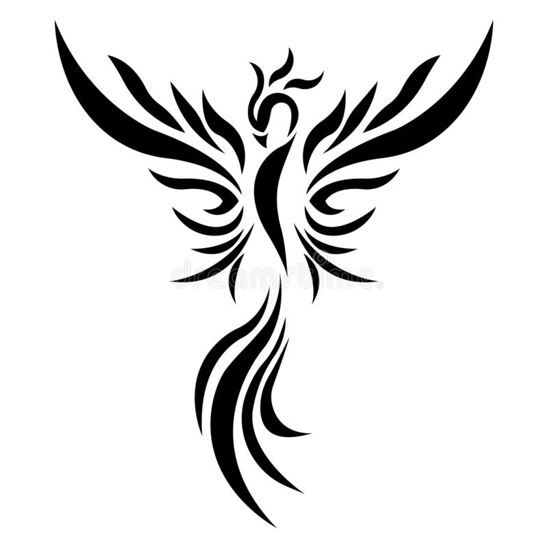 author-avatar