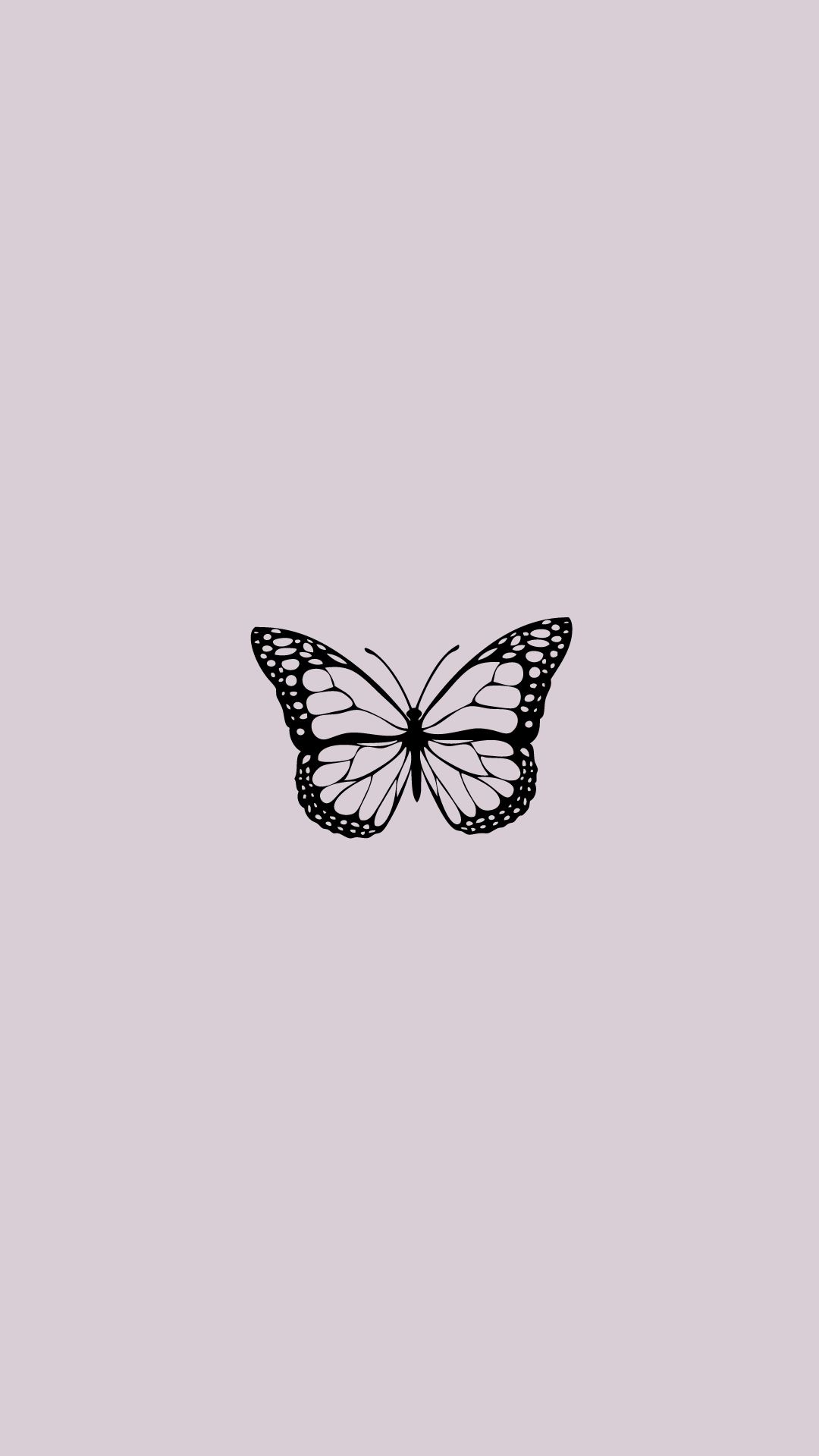 author-avatar