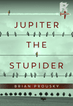 Jupiter the Stupider