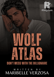 Don't Mess With the Billionaire