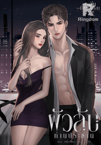 ผัวลับท่านประธาน (ชุดความลับของท่านประธาน)