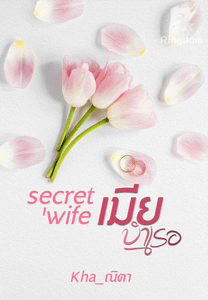 เมียบำเรอ(รัก)secret 'wife