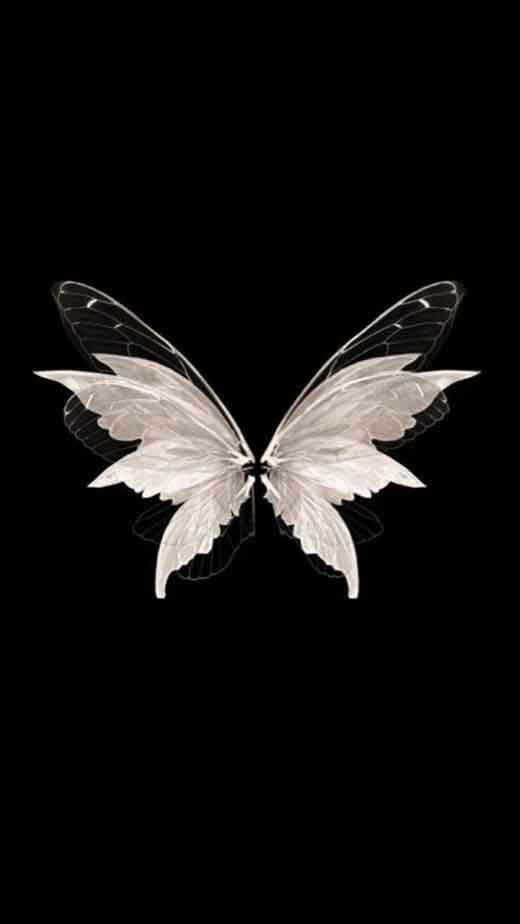 author-avatar