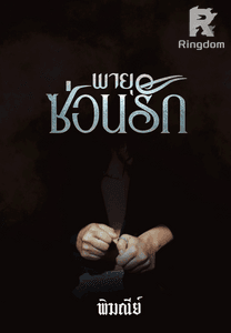 พายุซ่อนรัก