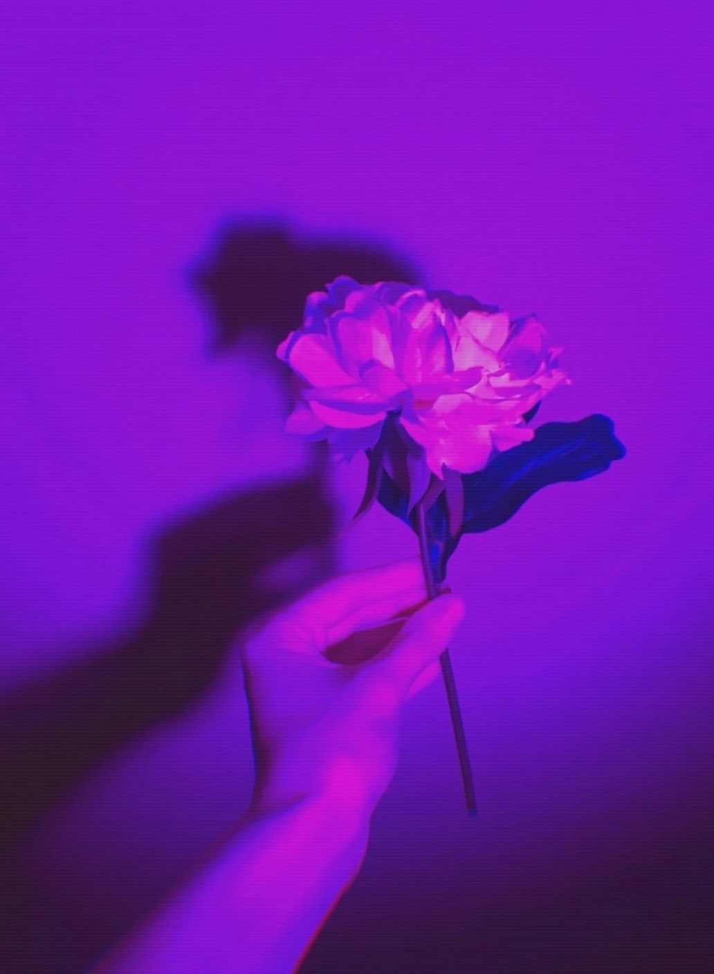 author-avatar
