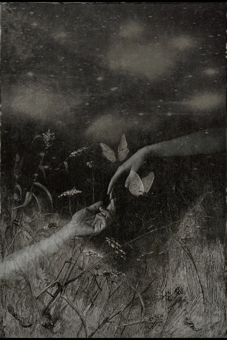 author-avatar